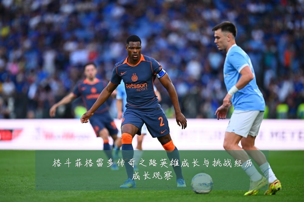 格斗菲格雷多传奇之路英雄成长与挑战经历成长观察